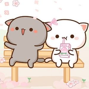 Meet your Posher, Quadra